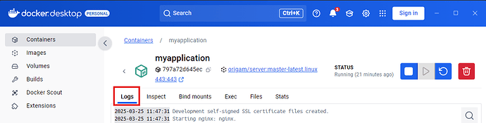 Server log in Docker